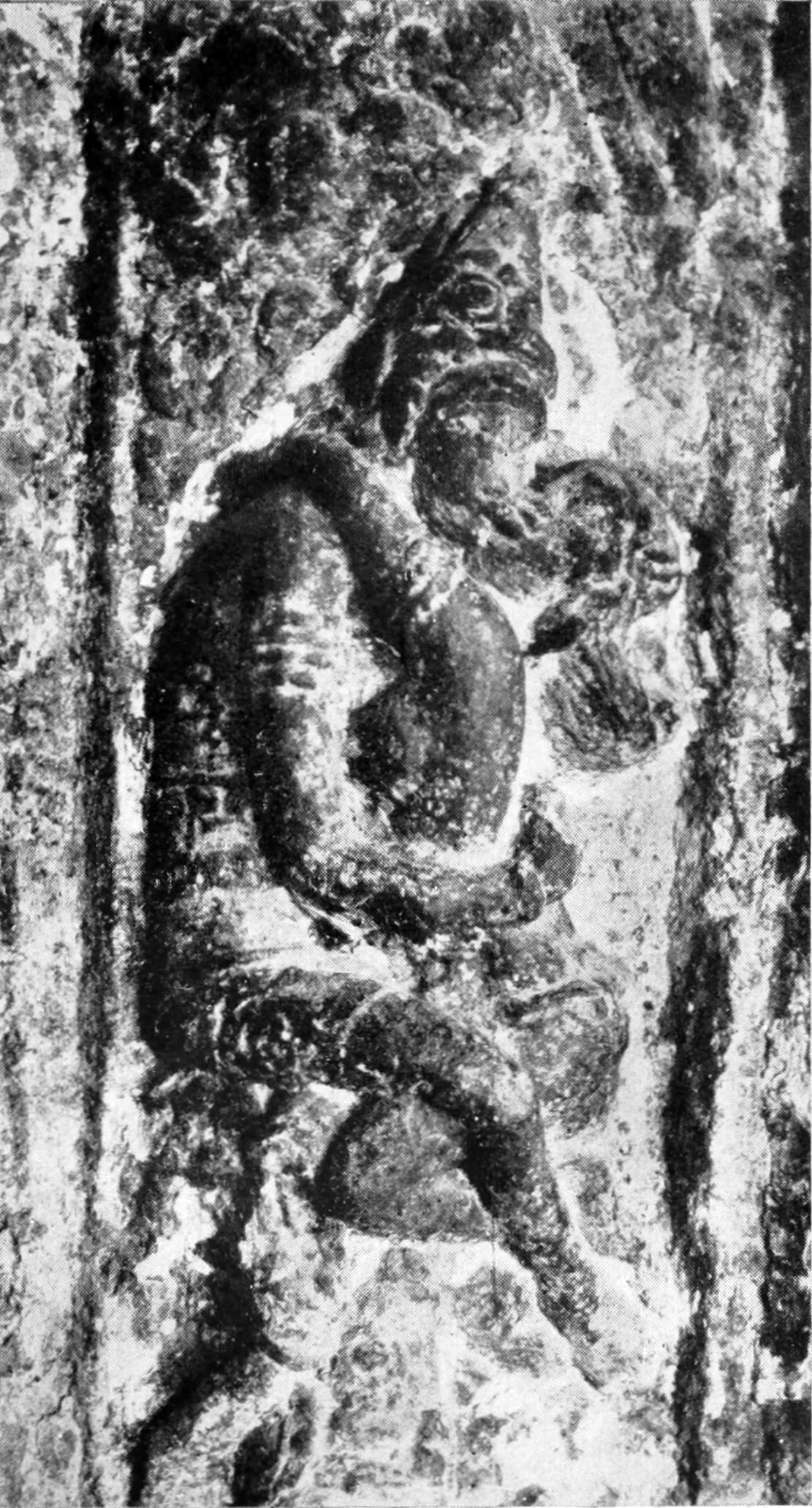 Halftone plate from 1920 showing a tall rock-cut relief at Kailāsa Temple, Ellora: a larger standing figure of Śiva with one arm reaching around the shoulders of a smaller figure of Pārvatī beside him, set in a recessed panel with heavily eroded surrounding stone.