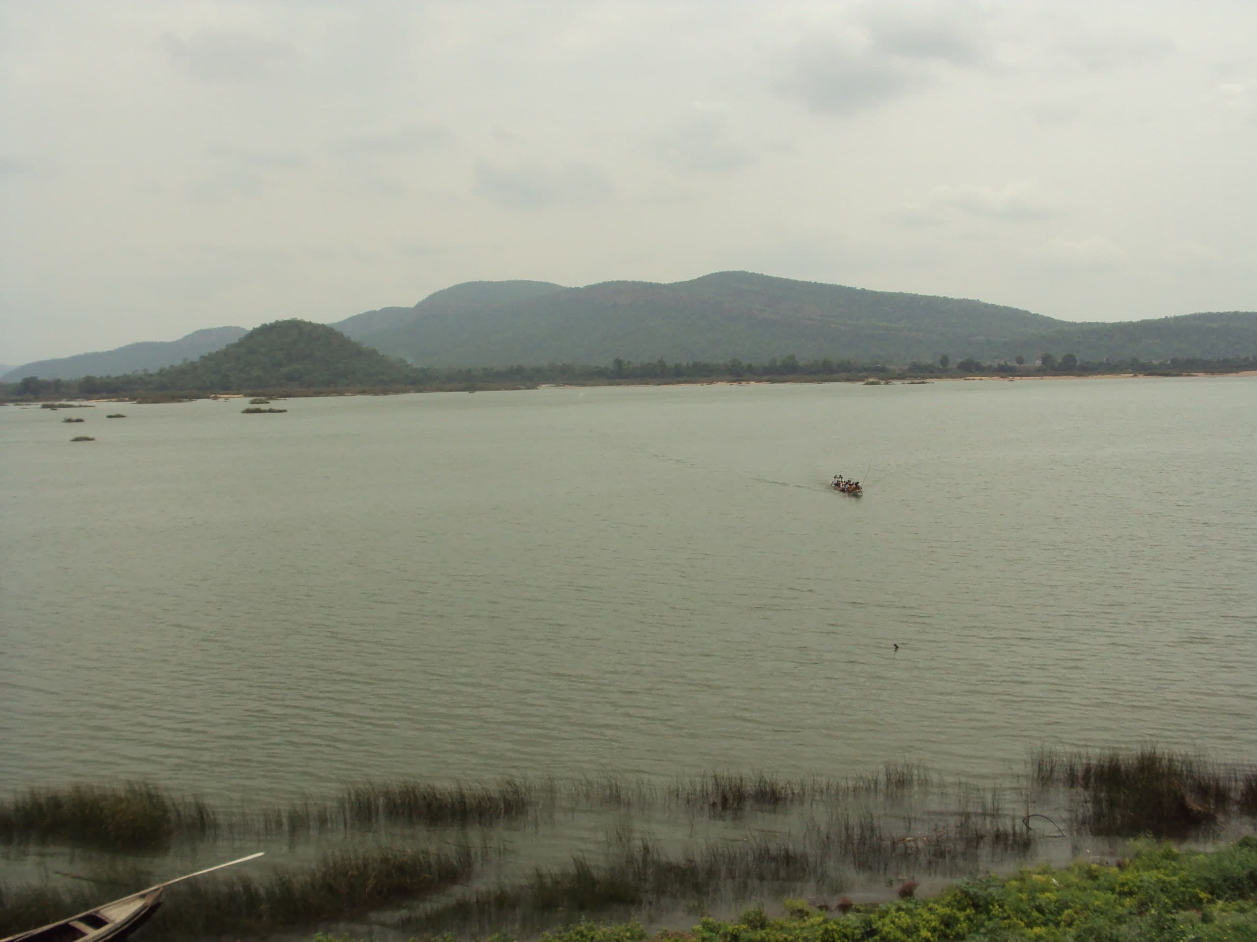 A broad grey-green river under an overcast sky, with reeds in the shallows in the foreground, a small boat far out on the water, and low wooded hills along the far shore.