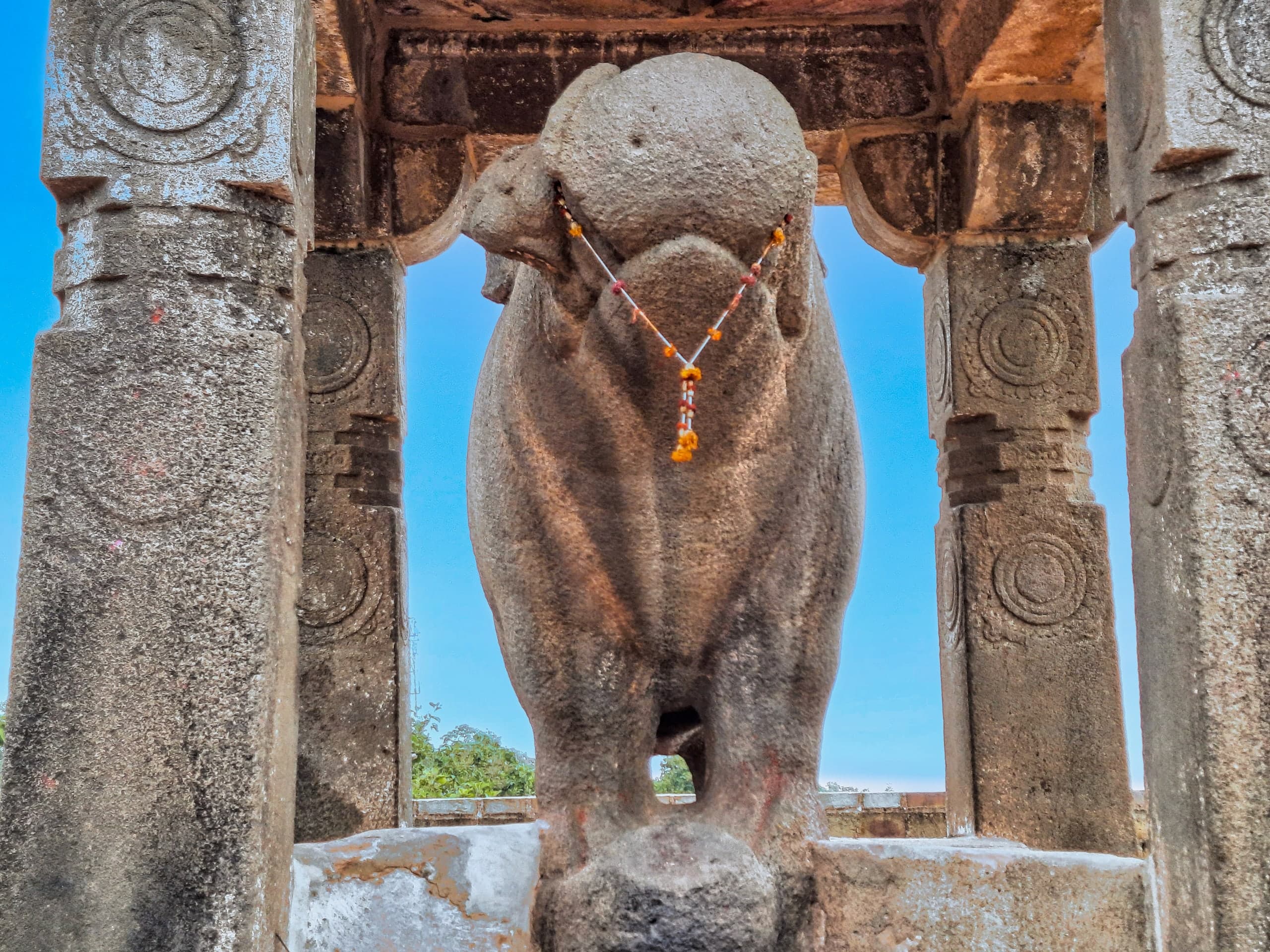 A massive stone boar seen head-on, a thin orange garland hanging from its neck, standing between square stone pillars carved with circular medallions, with blue sky showing between them.